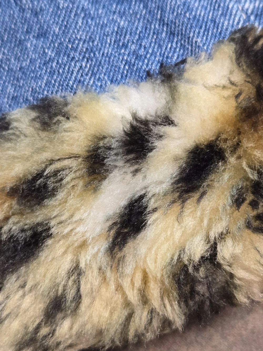 The Children's Place Denim Jumper Overall Dress Leopard Trim 3T New Safari Chic - Picture 5 of 11